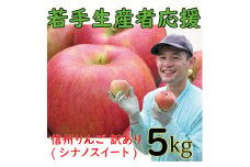 若手生産者応援 りんご （シナノスイート） 訳あり 5㎏ 数量限定 先行予約 山崎健司 家庭用