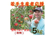 若手生産者応援 りんご （秋映） 訳あり 5㎏ 数量限定 先行予約 山崎健司 家庭用
