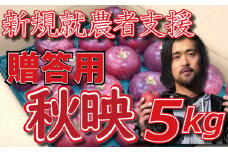 新規就農者応援 りんご （秋映） 贈答用 5㎏ 数量限定 先行予約 伊藤快