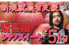 新規就農者応援 りんご （シナノスイート） 贈答用 5㎏ 数量限定 先行予約 伊藤快