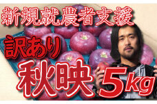 新規就農者応援 りんご （秋映） 訳あり 5㎏ 数量限定 先行予約 伊藤快 家庭用
