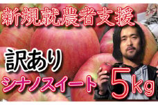 新規就農者応援 りんご （シナノスイート） 訳あり 5㎏ 数量限定 先行予約 伊藤快 家庭用