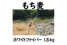 もち麦 1.5kg 長野県産 ホワイトファイバー 栽培期間中 化学肥料 農薬不使用 おいしく 健康的 キレイの素 環境にやさしい 信州匠選
