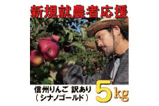 新規就農者応援 りんご (シナノゴールド )  訳あり 5㎏ 数量限定 先行予約 伊藤快 果物 フルーツ 家庭用