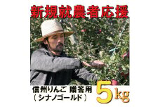 新規就農者応援 りんご （シナノゴールド） 贈答用 5㎏ 数量限定 先行予約 伊藤快