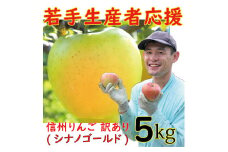 若手生産者応援 りんご (シナノゴールド) 訳あり 5㎏ 数量限定 先行予約 山崎健司 家庭用