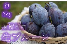 【2025年 先行予約】信州 麻績村産 生プルーン 約 2kg 500g × 4パック フルーツ 果物 プルーン 産地直送 予約 麻績村 新返礼品 令和7年 収穫分 9月発送 9月上旬受付まで