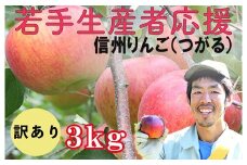 若手生産者応援 りんご （サンつがる） 訳あり 3㎏ 数量限定 先行予約 川上啓介 果物 フルーツ 家庭用 長野県 麻績村 麻績 信州