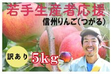 若手生産者応援 りんご （サンつがる） 訳あり 5㎏ 数量限定 先行予約 川上啓介 果物 フルーツ 家庭用 長野県 麻績村 麻績 信州