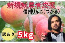 新規就農者応援 りんご （サンつがる） 訳あり 5㎏ 数量限定 先行予約 伊藤快 果物 フルーツ 家庭用