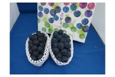 村松農園 温室ぶどう ナガノパープル2～3房 約1kg 果物 フルーツ