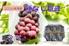 【先行予約】2025年産 訳あり 種なし巨峰バラ房・バラ粒パック約2.5kg 果物類 ぶどう フルーツ