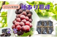 【先行予約】2025年産 訳あり 種あり巨峰バラ房・バラ粒パック約2.5kg