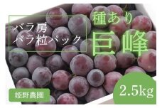 【先行予約】2025年産 訳あり 種あり巨峰バラ房・バラ粒パック約2.5kg