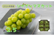 【先行予約】2025年産 訳あり シャインマスカット バラ房・バラ粒パック約2.5kg 果物類 ぶどう フルーツ 長野県産