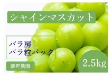 【先行予約】2025年産 訳あり シャインマスカット バラ房・バラ粒パック約2.5kg 果物類 ぶどう フルーツ 長野県産