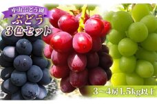 2025年先行予約 旬のぶどう おまかせ3色セット（ナガノパープルまたはシャインマスカット含む3色 3～4房約1.5kg以上） 果物 フルーツ 食べ比べ 詰め合わせ 贈り物 ギフト
