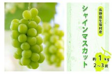 2025年先行予約 シャインマスカット2～3房入り 約800g～1kg 果物類 ぶどう フルーツ 果物 新鮮 瑞々しい