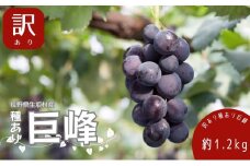 2025年発送 先行予約 訳あり 種あり巨峰 約1.2kg（3～5房） 果物類 ぶどう フルーツ