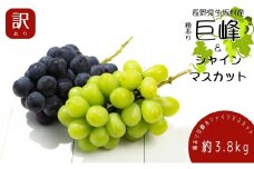 2025年発送 先行予約 訳あり 種あり巨峰＆シャインマスカット約3.8kg 9～13房 果物 ぶどう フルーツ デザート おやつ 長野県産 信州の葡萄 詰め合わせ