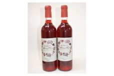 信州朝日村産　2019 コンコード葡萄ワイン(720ml)　2本セット  ZA 100006【1111650】