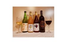信州朝日村産赤ワイン(750ml)純米吟醸(720ml)果汁ジュース(720ml×2)飲み比べセット【1276508】