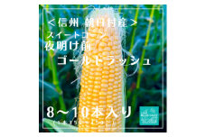＜信州朝日村産＞ 夜明け前 ゴールドラッシュ　8～10本　〈2025年7月中旬～順次配送〉【1499365】