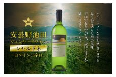 サッポログランポレール安曇野池田ヴィンヤードワイン「シャルドネ」750ml [池田町ハーブセンター 長野県 池田町 48110568] 