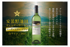 白ワイン サッポロ グランポレール 安曇野池田ヴィンヤード「ソーヴィニヨン・ブラン」750ml [池田町ハーブセンター 長野県 池田町 48110627] 白 ワイン 辛口 お酒 酒 