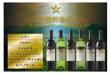 ワイン セット サッポロ グランポレール 安曇野池田ヴィンヤード 6種 各750ml×1本 計6本 飲み比べ [池田町ハーブセンター 長野県 池田町 48110629] 赤 白 赤ワイン 白ワイン 辛口 シャルドネ
