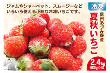 信州あづみ野産　冷凍 夏秋いちご　(600g×4袋) [安曇野ベジタブル 長野県 池田町 48110546] 
