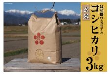 栽培期間中農薬・化学肥料不使用 はぜ掛け 天日干し コシヒカリ 玄米 3kg [まるごし農園 長野県 池田町 48110696] 