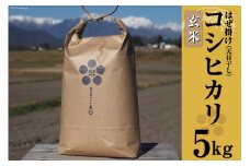 栽培期間中農薬・化学肥料不使用 はぜ掛け 天日干し コシヒカリ 玄米 5kg [まるごし農園 長野県 池田町 48110697]