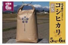 6回 定期便 栽培期間中農薬・化学肥料不使用 はぜ掛け 天日干し コシヒカリ 玄米 5kg×6回 総計30kg [まるごし農園 長野県 池田町 48110715] お米 こしひかり 美味しい 池田町産 はぜ掛け米 はぜかけ米