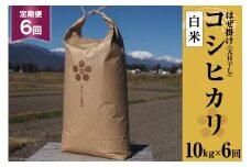 6回 定期便 栽培期間中農薬・化学肥料不使用 はぜ掛け 天日干し コシヒカリ 白米 10kg×6回 総計60kg [まるごし農園 長野県 池田町 48110716] お米 こしひかり 美味しい 池田町産 はぜ掛け米 はぜかけ米