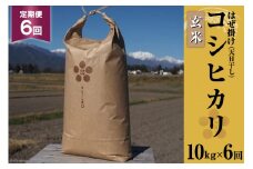 6回 定期便 栽培期間中農薬・化学肥料不使用 はぜ掛け 天日干し コシヒカリ 玄米 10kg×6回 総計60kg [まるごし農園 長野県 池田町 48110717] お米 こしひかり 美味しい 池田町産 はぜ掛け米 はぜかけ米
