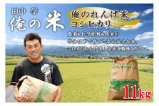 米 令和7年 俺のれんげ米 コシヒカリ 11kg [田中学 長野県 池田町 48110685] 令和7年産 米 お米 こしひかり 11キロ 白米 精米 ごはん ご飯