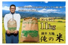 【俺の米】米 令和7年 コシヒカリ 精米 11kg [薄井 大地 長野県 池田町 48110784] お米 白米 ごはん こしひかり 美味しい 農家 直送