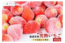 【急速冷凍】完熟いちご500g（へたカット済み） [安曇野ベジタブル 長野県 池田町 48110550] 