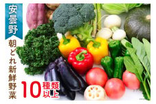 安曇野の朝どれ新鮮野菜 10種類以上 [安曇野ベジタブル 長野県 池田町 48110405] 