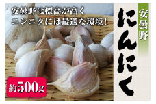 【産地直送】安曇野 にんにく（ばら）約500g [安曇野ベジタブル 長野県 池田町 48110409] 