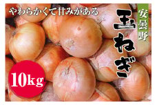 【先行受付】 安曇野 玉ねぎ 10kg [安曇野ベジタブル 長野県 池田町 48110479] たまねぎ タマネギ 玉葱 野菜 やさい 産地直送