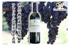 赤ワイン 安曇野メルロー 750ml 1本 [シャトー・メルシャン 勝沼ワイナリー 長野県 池田町 48110298] 赤 ワイン ギフト お酒 シャトー