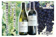 ワイン 赤 白 安曇野メルロー & 安曇野シャルドネ 各 750ml 計 2本 [シャトー・メルシャン 勝沼ワイナリー 長野県 池田町 48110299] 飲み比べ 赤ワイン 白ワイン 赤白