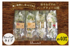 秋冬おすすめ ハーブティー ティーバッグ 40杯分 × 4種 セット 詰め合わせ [ナチュラルマルシェソヨソヨ 長野県 池田町 48110744] 紅茶 お茶 ハーブ 飲み比べ 美味しい