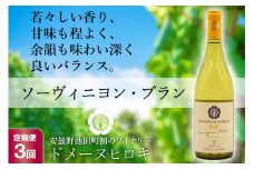 【3回定期便】ソーヴィニヨン・ブラン 750ml×1本＜ヴィニョブル安曇野 DOMAINE HIROKI＞【長野県池田町】