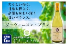 【6回定期便】ソーヴィニヨン・ブラン 750ml×1本＜ヴィニョブル安曇野 DOMAINE HIROKI＞【長野県池田町】