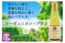 【12回定期便】ソーヴィニヨン・ブラン 750ml×1本＜ヴィニョブル安曇野 DOMAINE HIROKI＞【長野県池田町】
