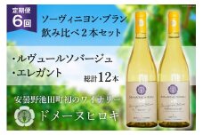 【6回 定期便 】白 ワイン ソーヴィニヨン・ブラン 2種 飲み比べ 750ml×2本 [ヴィニョブル安曇野 DOMAINE HIROKI 長野県 池田町 48110703] 白ワイン セット お酒 酒
