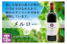 【12回 定期便 】【熟した果実の香り】 赤 ワイン メルロー 750ml×1本 [ヴィニョブル安曇野 DOMAINE HIROKI 長野県 池田町 48110185] 赤ワイン お酒 酒